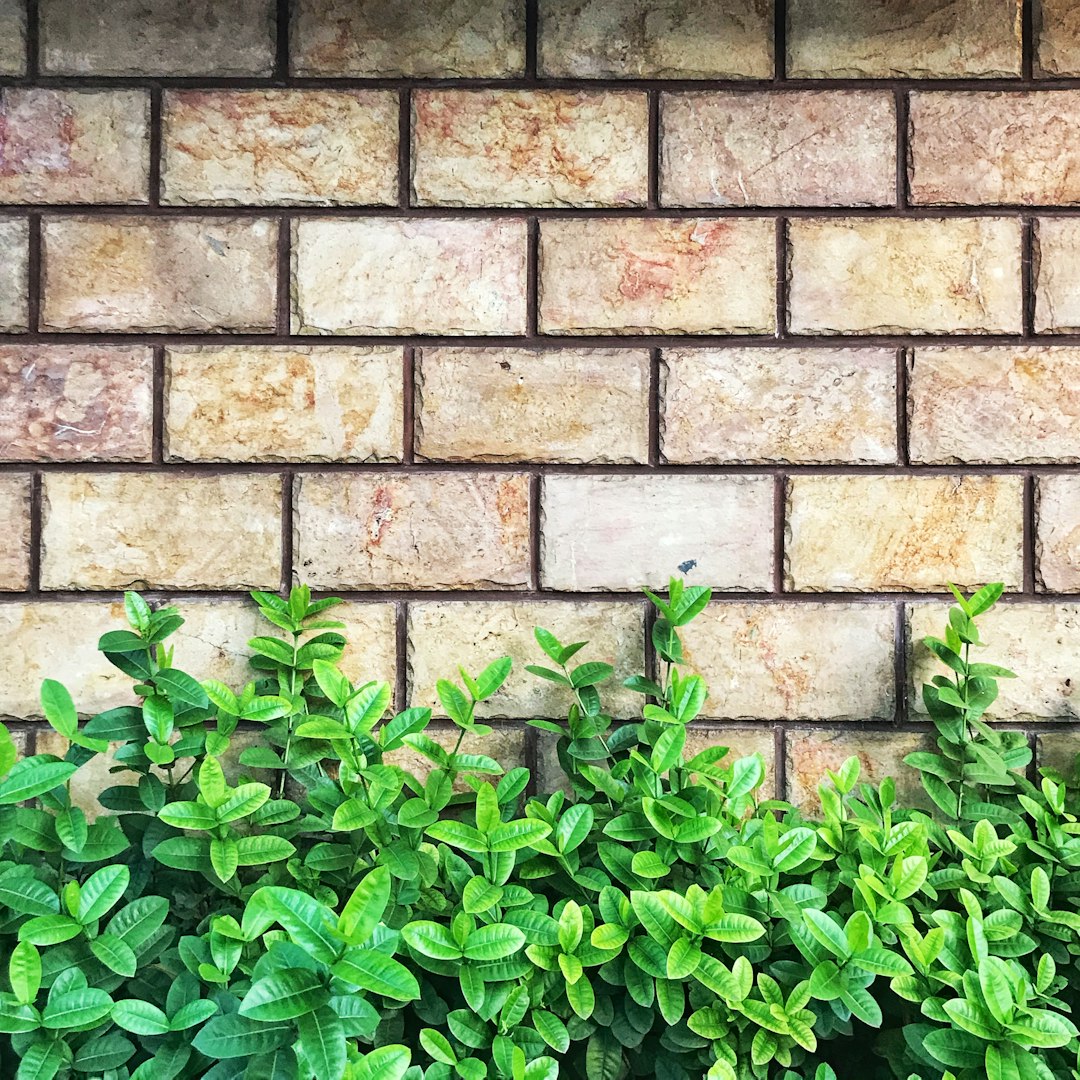 Garden and outdoor services
